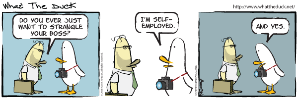 Self-employed duck